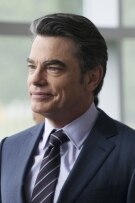 The actor poster of Peter Gallagher