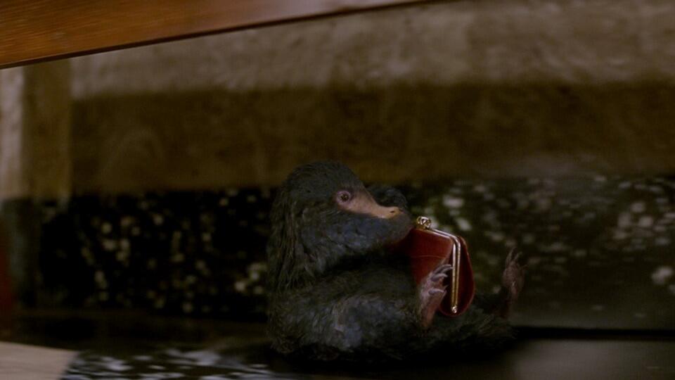 Still uit Fantastic Beasts And Where To Find Them Still 9 uit de film Fantastic Beasts And Where To Find Them